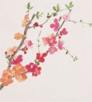 画像: 新年あけまして