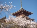 画像: 夜間拝観はあきらめて