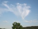 画像: 花が開きかけたような形の、