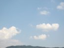 画像: 魚が泳ぐように