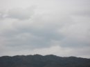 画像: 開花しはじめても