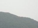 画像: 雨が小降りになっても
