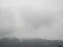 画像: 雨でした。寒い。