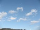 画像: お天気で暖かいのかと