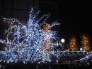 画像: 京都ホテルオークラの