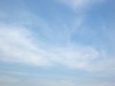画像: 暖かいというより