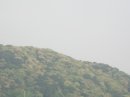 画像: 鮮やかに見えるはずの