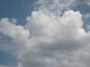 画像: 泡のように見える