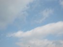 画像: 気持ちよく晴れました。
