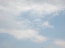 画像: ボンヤリを誘われる