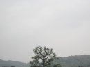 画像: 霧雨がつづいて