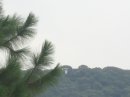 画像: 曇っていました。