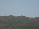画像: 小春日和、
