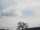 画像: お天気崩れずに