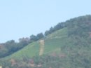 画像: 一面の青空の下。