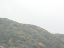 画像: 雨から