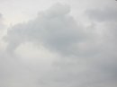 画像: 雨が降るよ〜、
