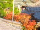 画像: ベランダから見えたので