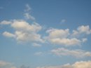 画像: 何かが走っているような
