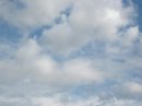 画像: 湿度が高いです。