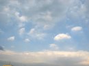 画像: 水槽ではなく。。