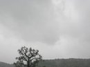 画像: 午前中は雨と霧で
