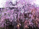 画像: この店長日記は