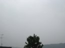 画像: 雨なので