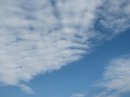 画像: いいお天気ですが