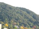 画像: 今日は晴れました。