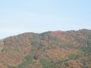 画像: 東の山も
