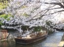 画像: 前の晩は