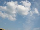 画像: 今日もよく晴れて。。