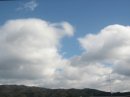 画像: 年明けよりお天気がよくて