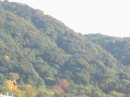 画像: 良いお天気で、