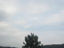 画像: 雨がやんで