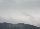 画像: 降ってます。