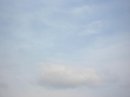 画像: 春ですねえ。