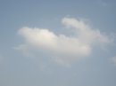 画像: 夏日ですね？
