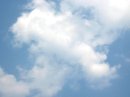 画像: 今日は風がありました。