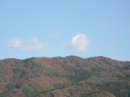 画像: いいお天気で、