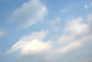 画像: 完全に真夏です。