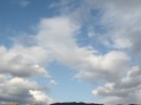 画像: 花冷え