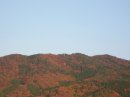 画像: 山を見ていたら