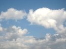 画像: 今日は