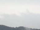 画像: 雨でした。