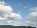 画像: 本当に