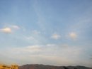 画像: 薄くてベールのような