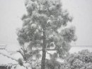 画像: 31日です。