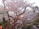 画像: 今日は雨、